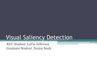 Visual Saliency Detection