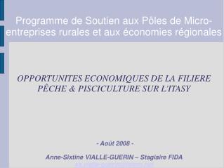 Programme de Soutien aux Pôles de Micro-entreprises rurales et aux économies régionales