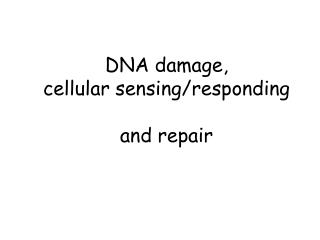 DNA damage, cellular sensing/responding and repair