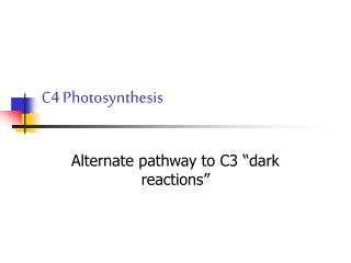 C4 Photosynthesis