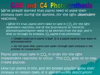 CAM and C4 Photosynthesis