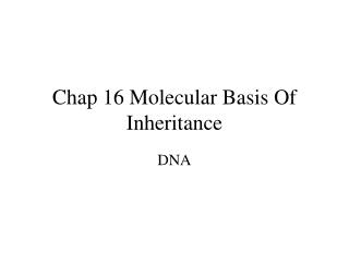 Chap 16 Molecular Basis Of Inheritance