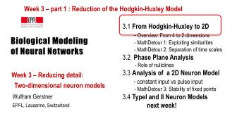 Biological Modeling of Neural Networks