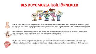 BEŞ DUYUMUZLA İLGİLİ ÖRNEKLER