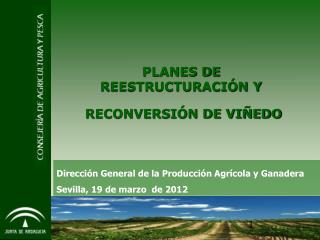 PLANES DE REESTRUCTURACIÓN Y RECONVERSIÓN DE VIÑEDO