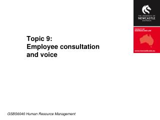 Topic 9: Employee consultation and voice