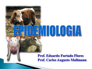 EPIDEMIOLOGIA