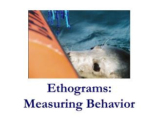 Ethograms: Measuring Behavior