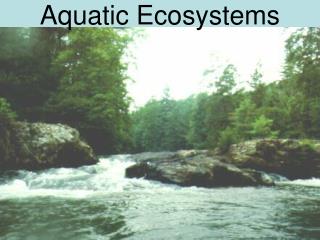 Aquatic Ecosystems