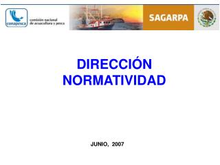 DIRECCIÓN NORMATIVIDAD