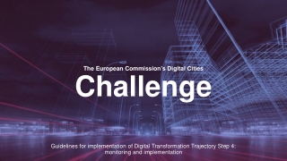 The European Commission's Digital Cities Challenge