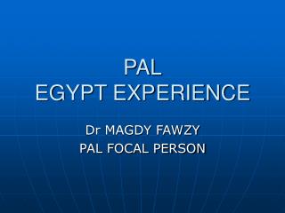 PAL EGYPT EXPERIENCE