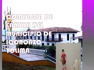 COMISARIA DE FAMILIA DEL MUNICIPIO DE ICONONZO TOLIMA