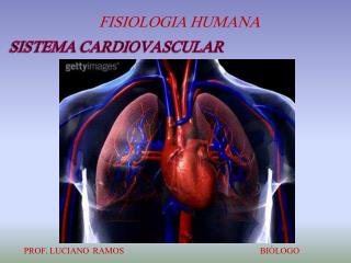 SISTEMA CARDIOVASCULAR