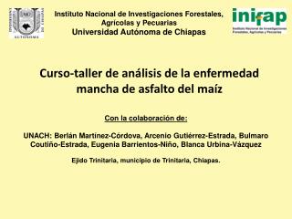 Curso-taller de análisis de la enfermedad mancha de asfalto del maíz