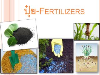 ปุ๋ย -Fertilizers