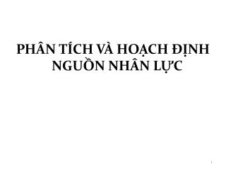 PHÂN TÍCH VÀ HOẠCH ĐỊNH NGUỒN NHÂN LỰC