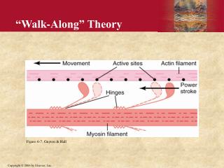 “Walk-Along” Theory