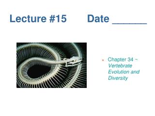 Lecture #15 Date ______