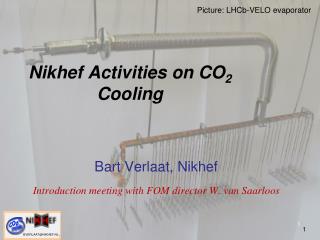 Nikhef Activities on CO 2 Cooling