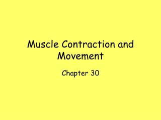 Muscle Contraction and Movement