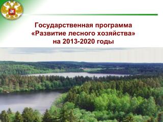 Государственная программа «Развитие лесного хозяйства» на 2013-2020 годы