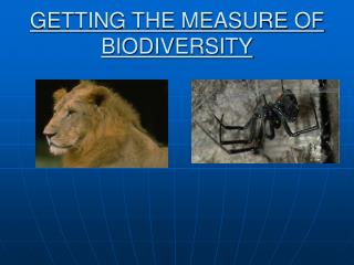 GETTING THE MEASURE OF BIODIVERSITY