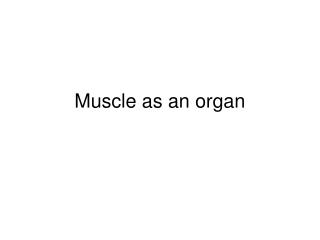 Muscle as an organ