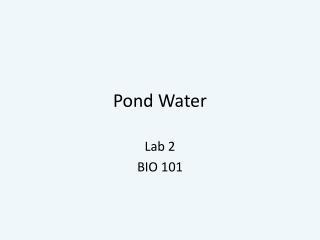 Pond Water