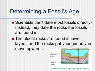 Determining a Fossil’s Age