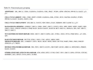 Table S1. Functional gene grouping.