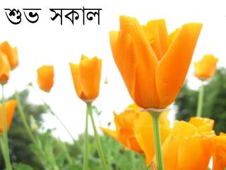 শুভ সকাল