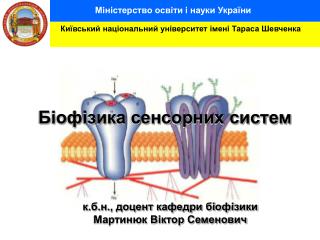 Київський національний університет імені Тараса Шевченка