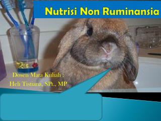 Nutrisi Non Ruminansia