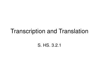 Transcription and Translation