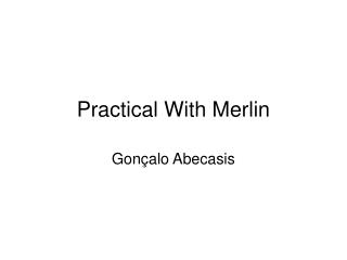 Practical With Merlin