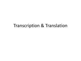 Transcription & Translation