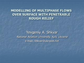 MODELLING OF MULTIPHASE FLOWS OVER SURFACE WITH PENETRABLE ROUGH RELIEF