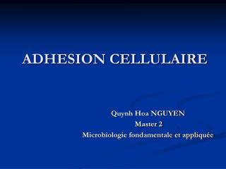 ADHESION CELLULAIRE