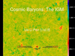 Cosmic Baryons: The IGM