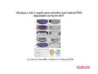 H-L Liang et al. Nature 000 , 1-4 (2008) doi:10.1038/nature07388