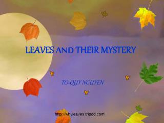 LEAVES AND THEIR MYSTERY