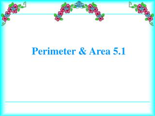 Perimeter &amp; Area 5.1