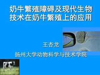 奶牛繁殖障碍及现代生物技术在奶牛繁殖上的应用 王杏龙 扬州大学动物科学与技术学院