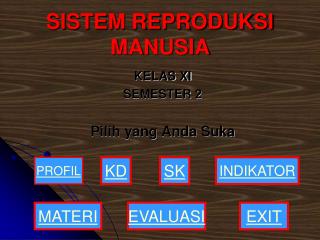 SISTEM REPRODUKSI MANUSIA