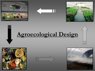 Agroecological Design