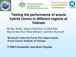 Testing the performance of acacia hybrid clones in different regions of Vietnam