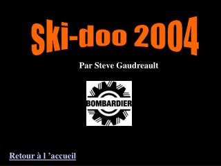 ski-doo 2004