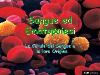 Sangue ed Ematopoiesi