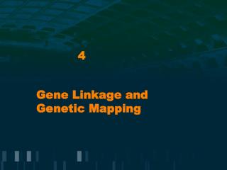 Gene Linkage and Genetic Mapping